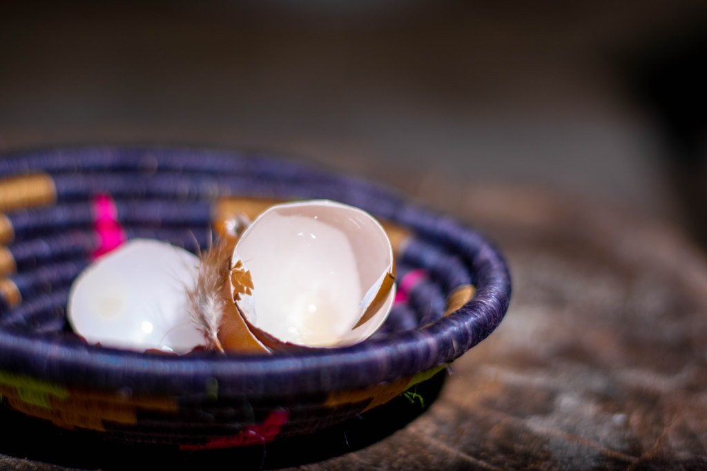 Broken egg shells sit in a multicolored woven fabric bowl. The whole assortment sits atop an aged tree stump.